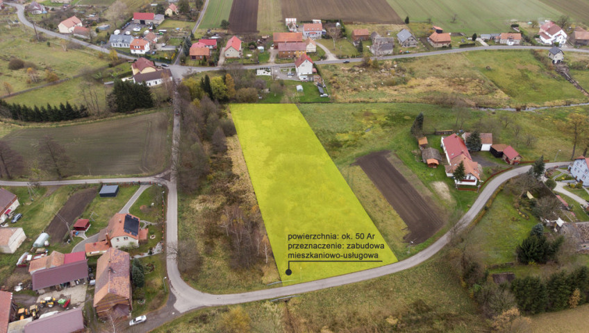 Działka Sprzedaż Czerna