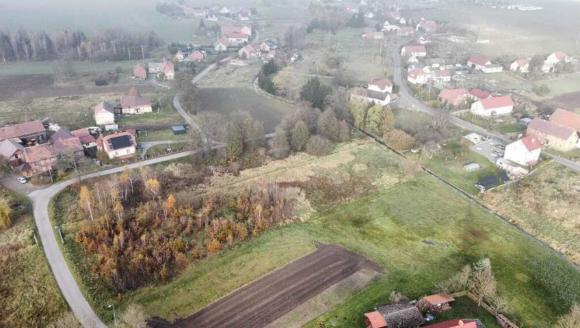 Działka Sprzedaż Czerna