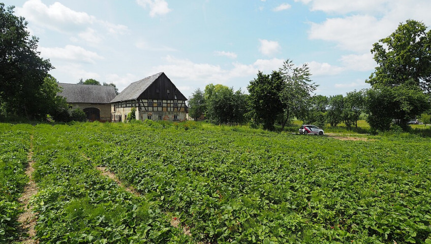 Działka Sprzedaż Żeliszów