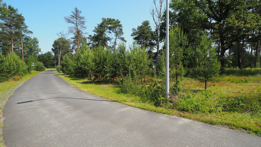 Działka Sprzedaż Przejęsław