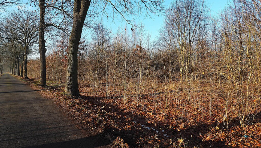 Działka Sprzedaż Chościszowice