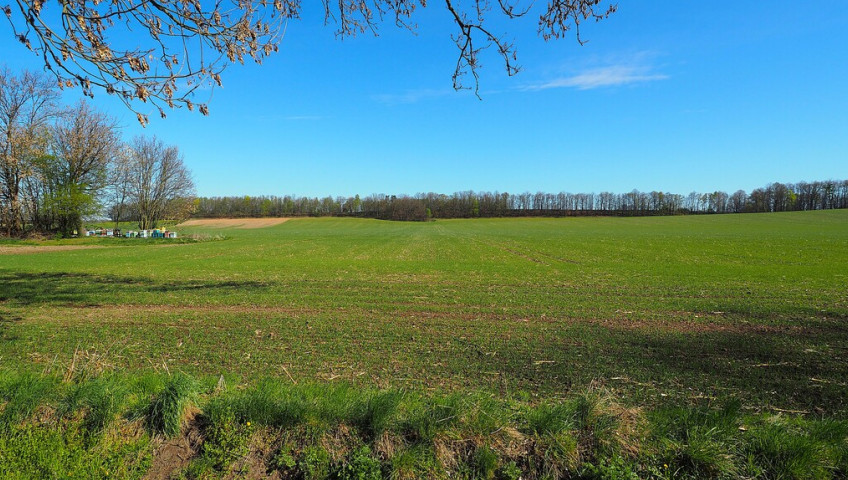 Działka Sprzedaż Brunów
