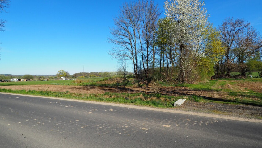 Działka Sprzedaż Brunów