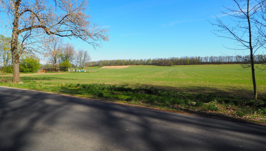 Działka Sprzedaż Brunów