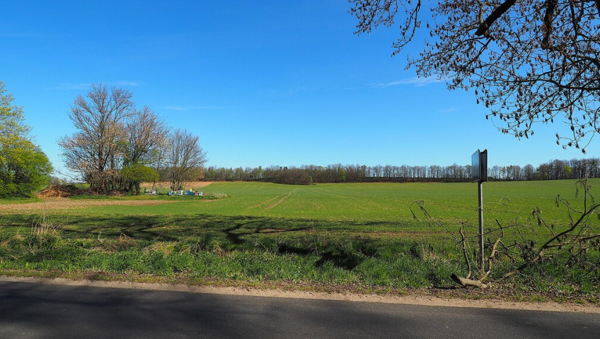 Działka Sprzedaż Brunów
