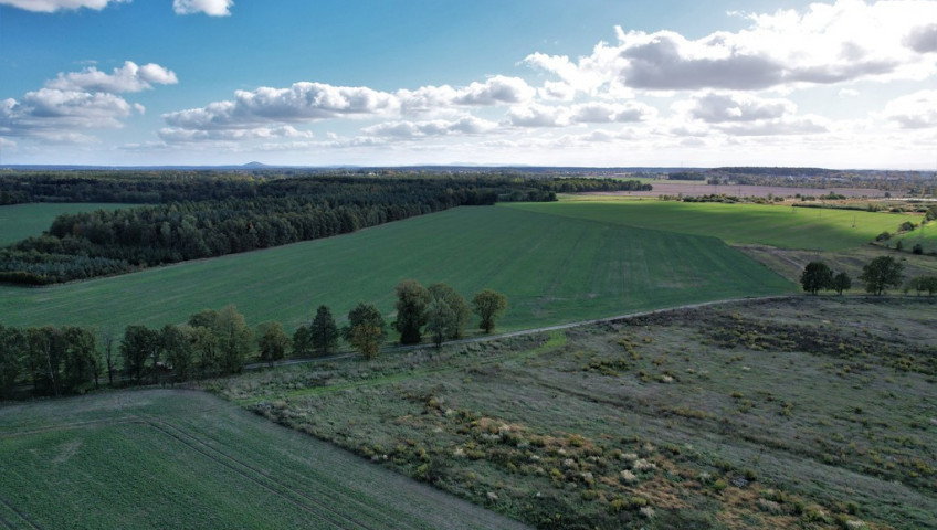 Działka Sprzedaż Bolesławiec