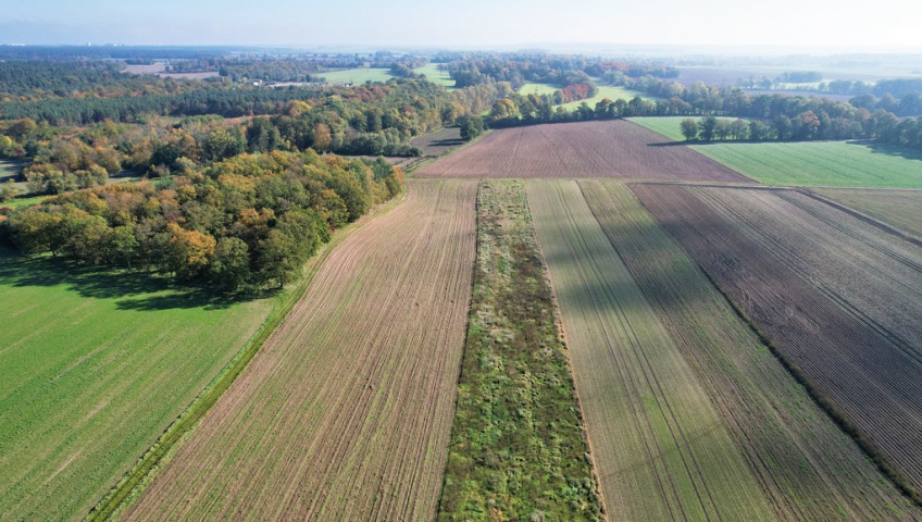 Działka Sprzedaż Kraśnik Górny