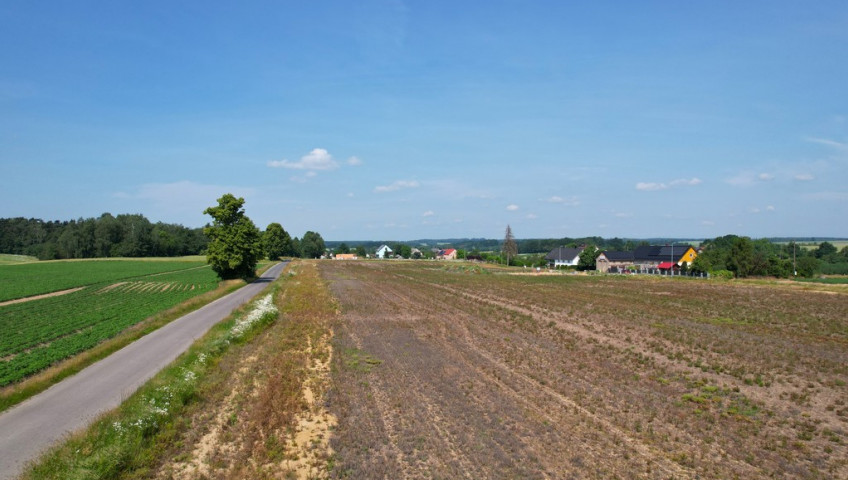 Działka Sprzedaż Żeliszów