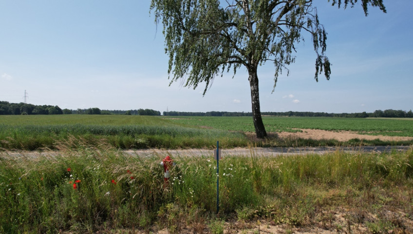Działka Sprzedaż Żeliszów