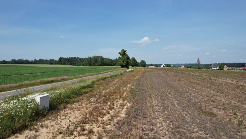 Działka Sprzedaż Żeliszów