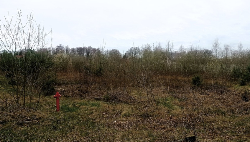 Działka Sprzedaż Ruszów